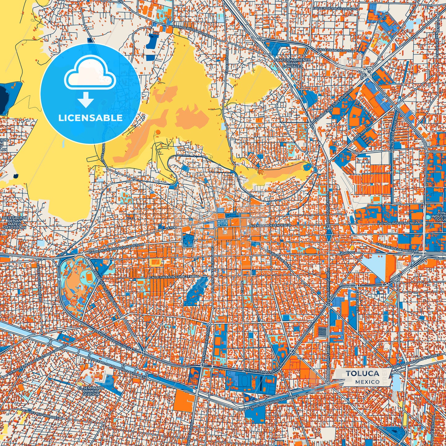 Canvas Print Template of Toluca Street Map