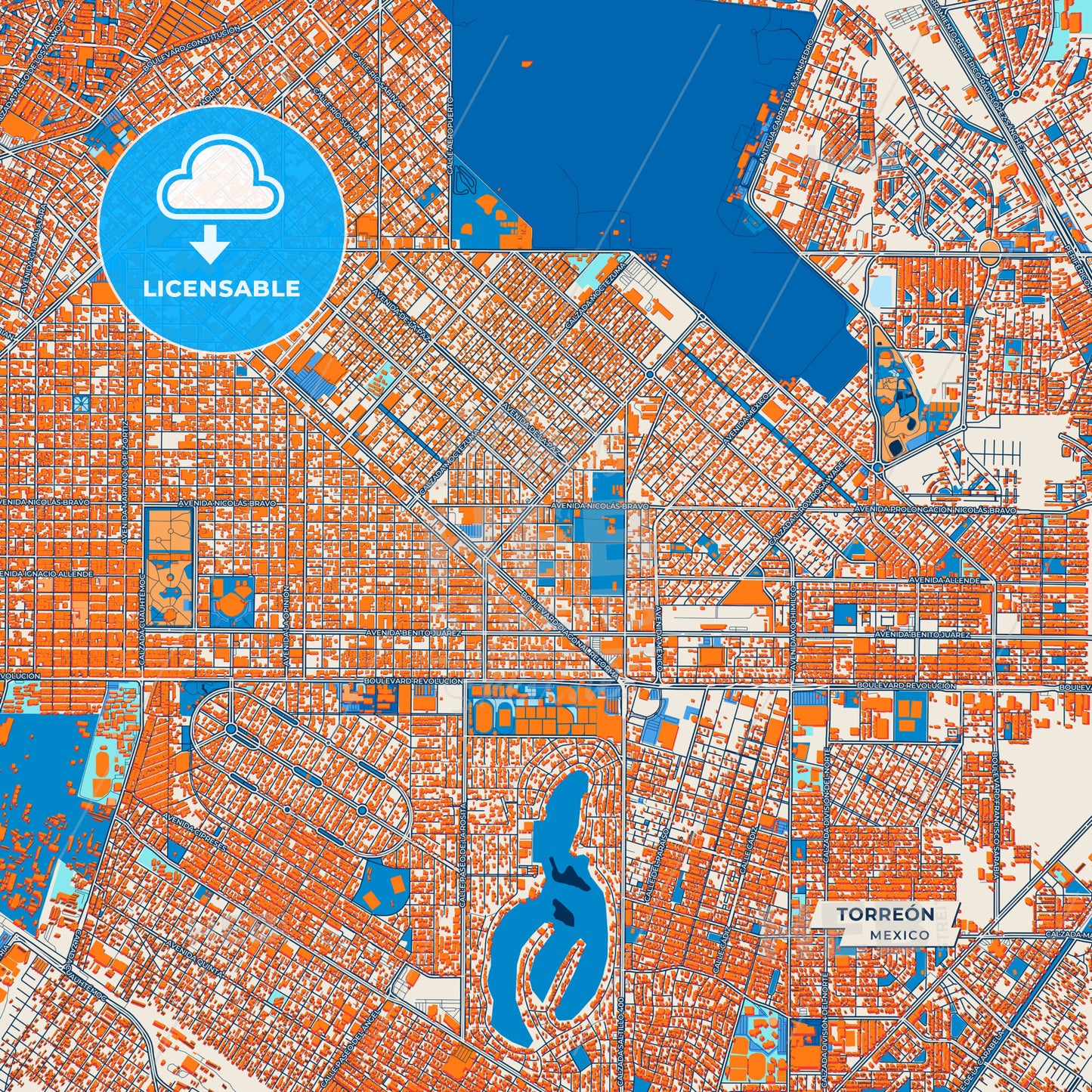 Canvas Print Template of Torreón Street Map
