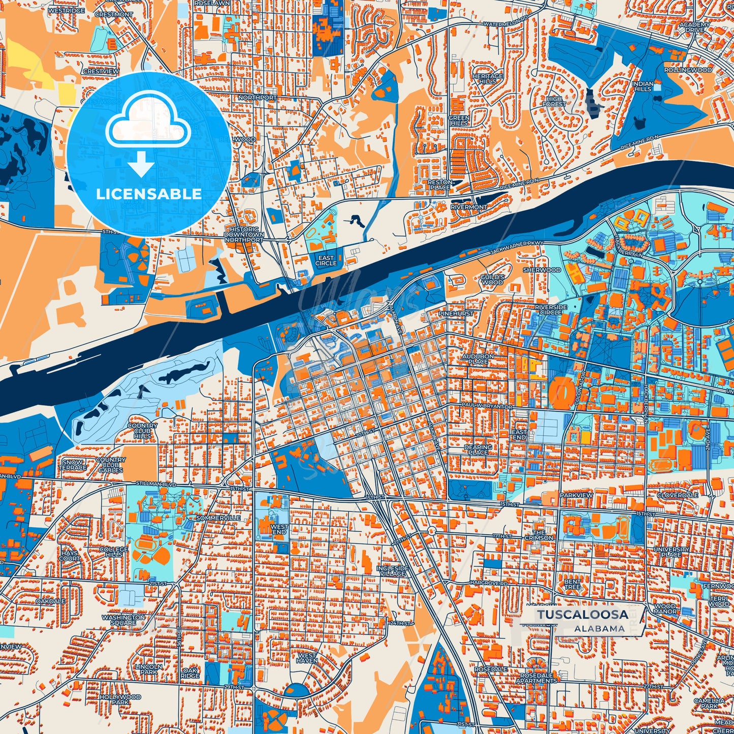 Canvas Print Template of Tuscaloosa Street Map