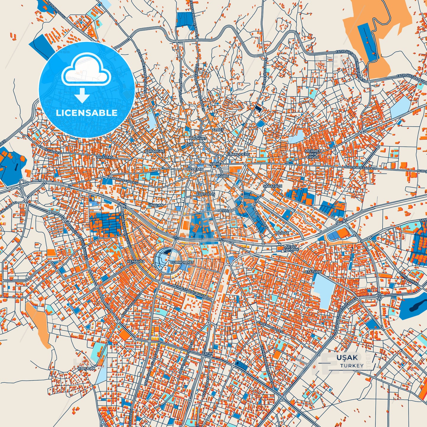 Canvas Print Template of Uşak Street Map