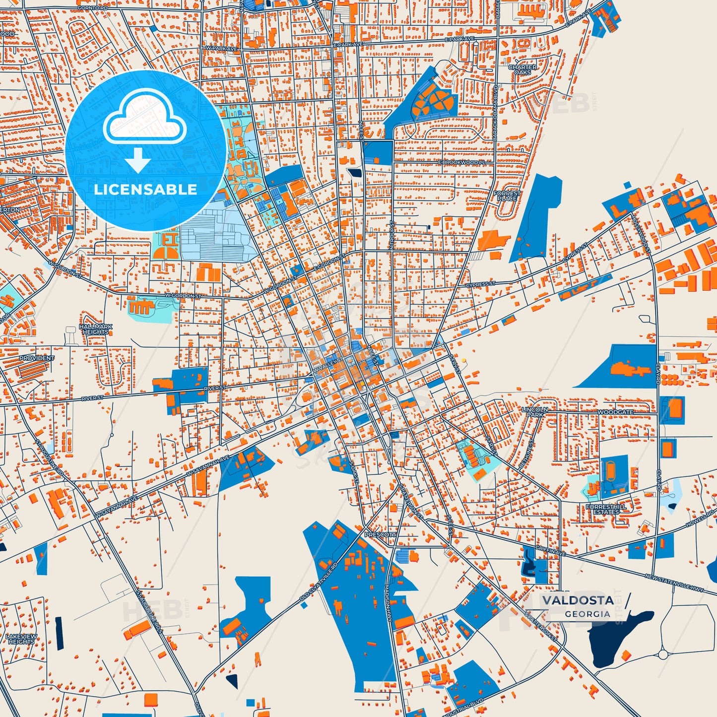 Canvas Print Template of Valdosta Street Map