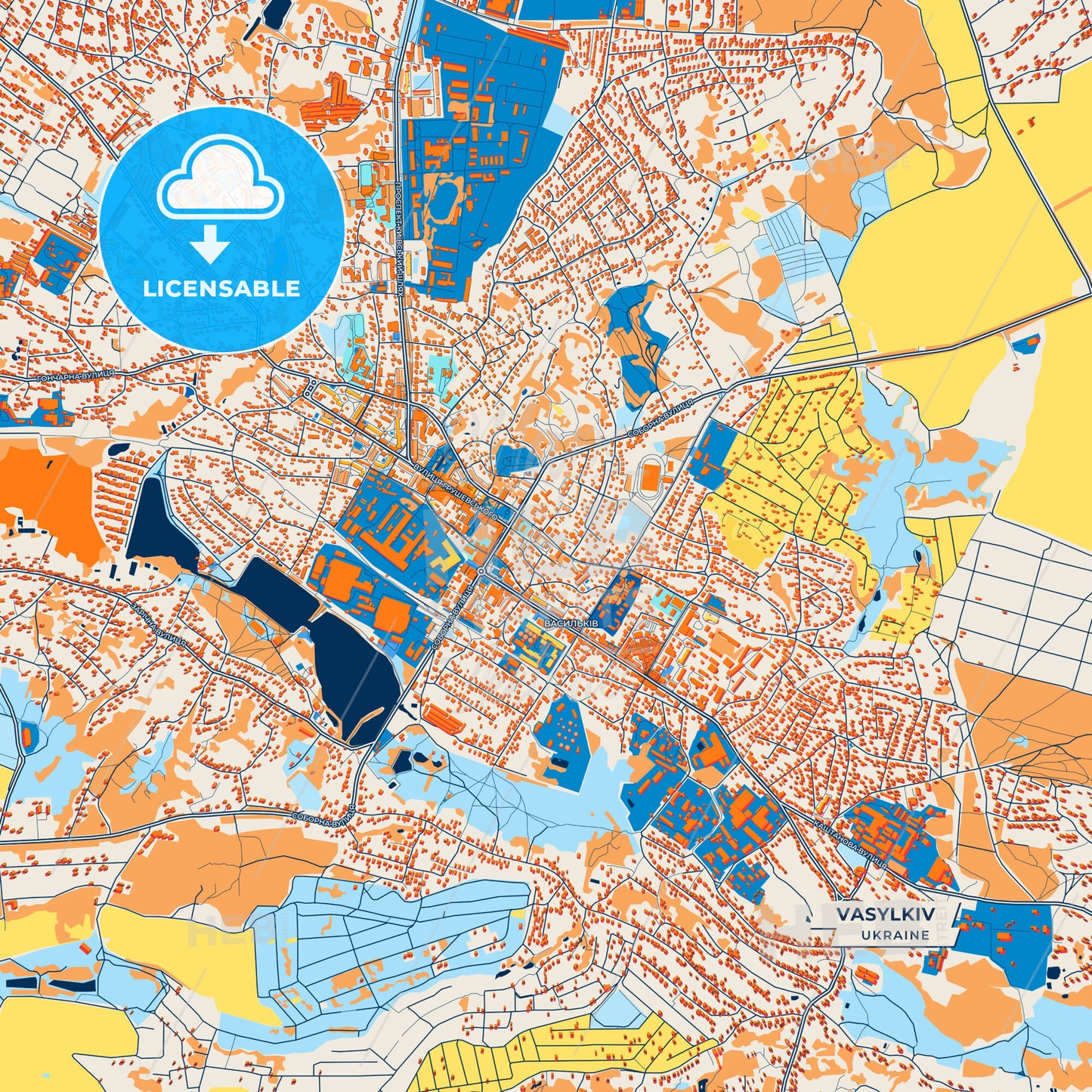 Canvas Print Template of Vasylkiv Street Map