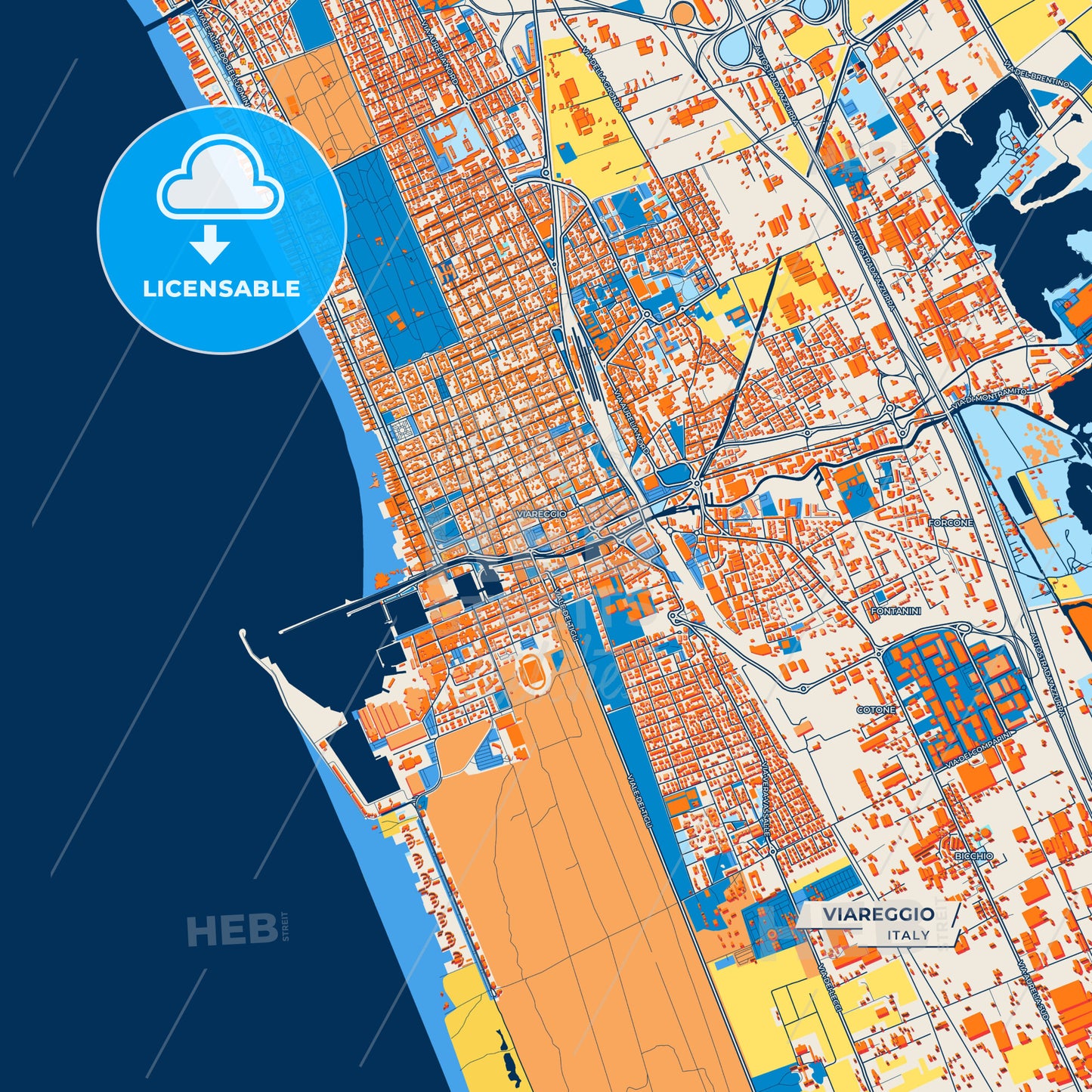 Canvas Print Template of Viareggio Street Map