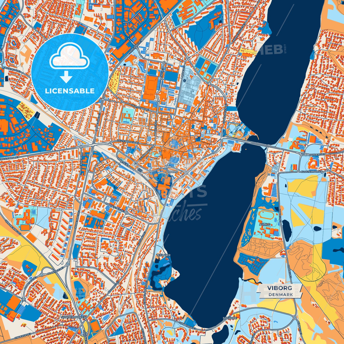 Canvas Print Template of Viborg Street Map