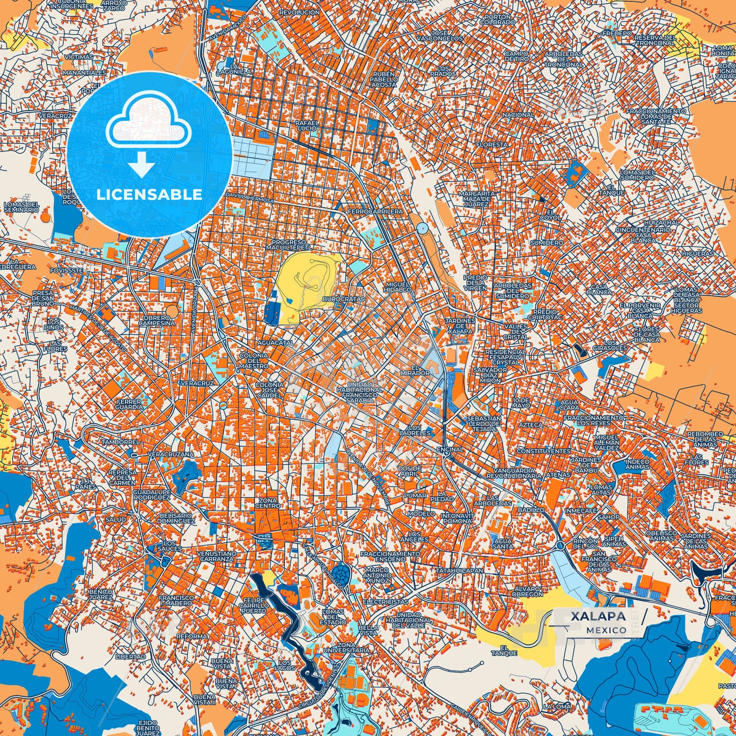 Canvas Print Template of Xalapa Street Map