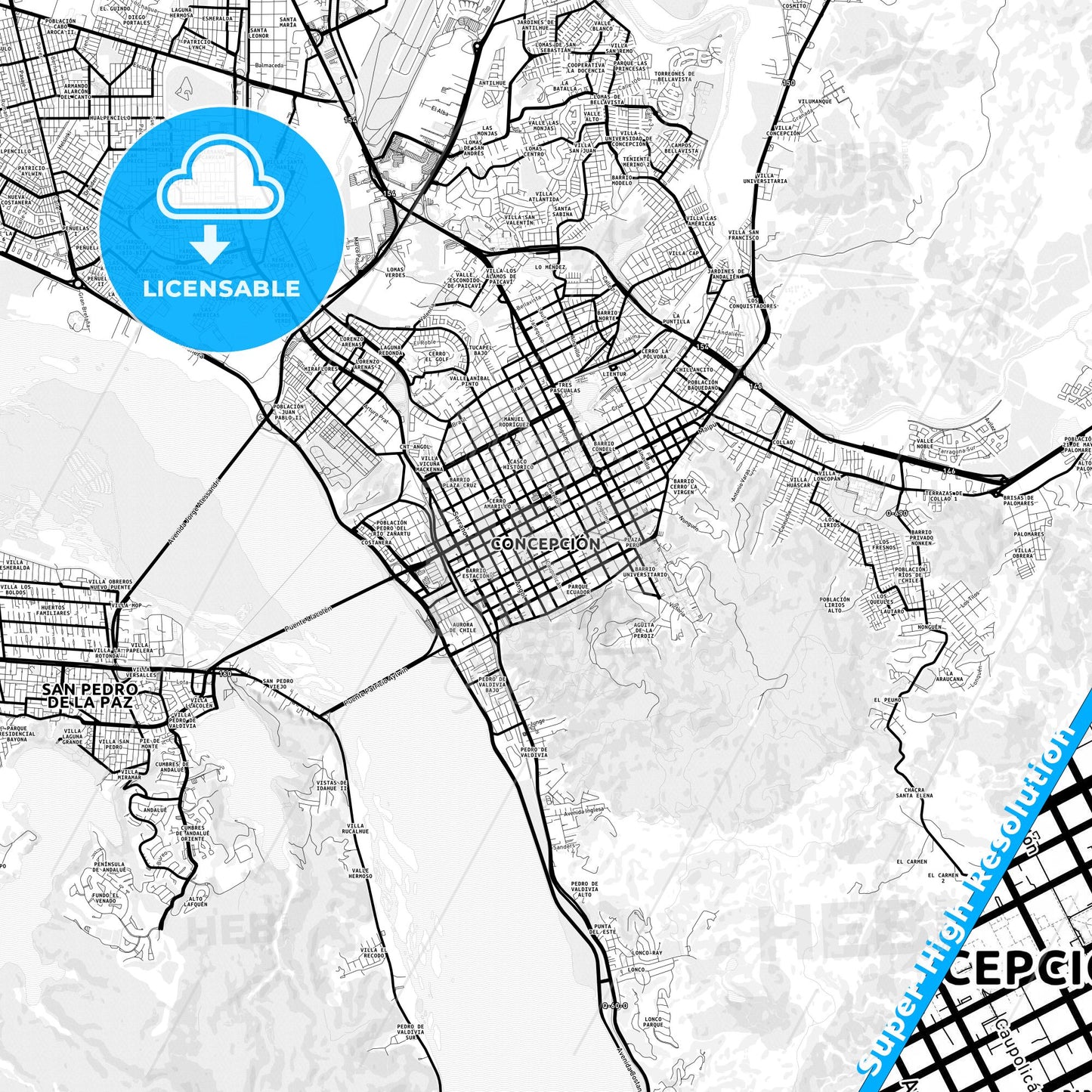 Concepcion, Chile Light Map with Street Names, City Names, and Districts