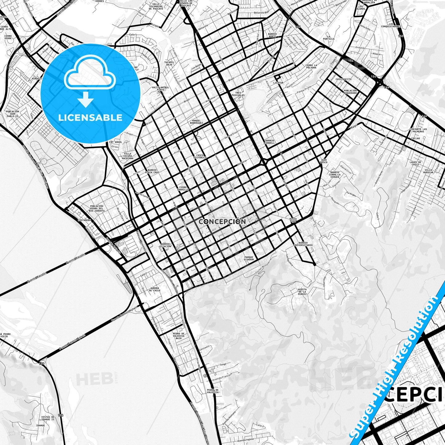 Concepcion, Chile Light Map with Street Names, City Names, and Districts