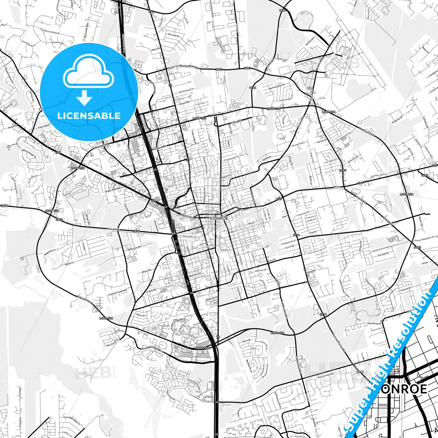 Conroe, Texas Light Map with Street Names, City Names, and Districts