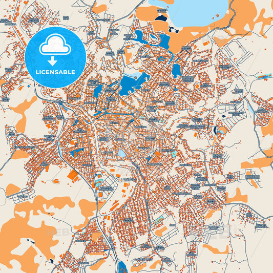 Colorful Conselheiro Lafaiete Street Map with Labels and Buildings