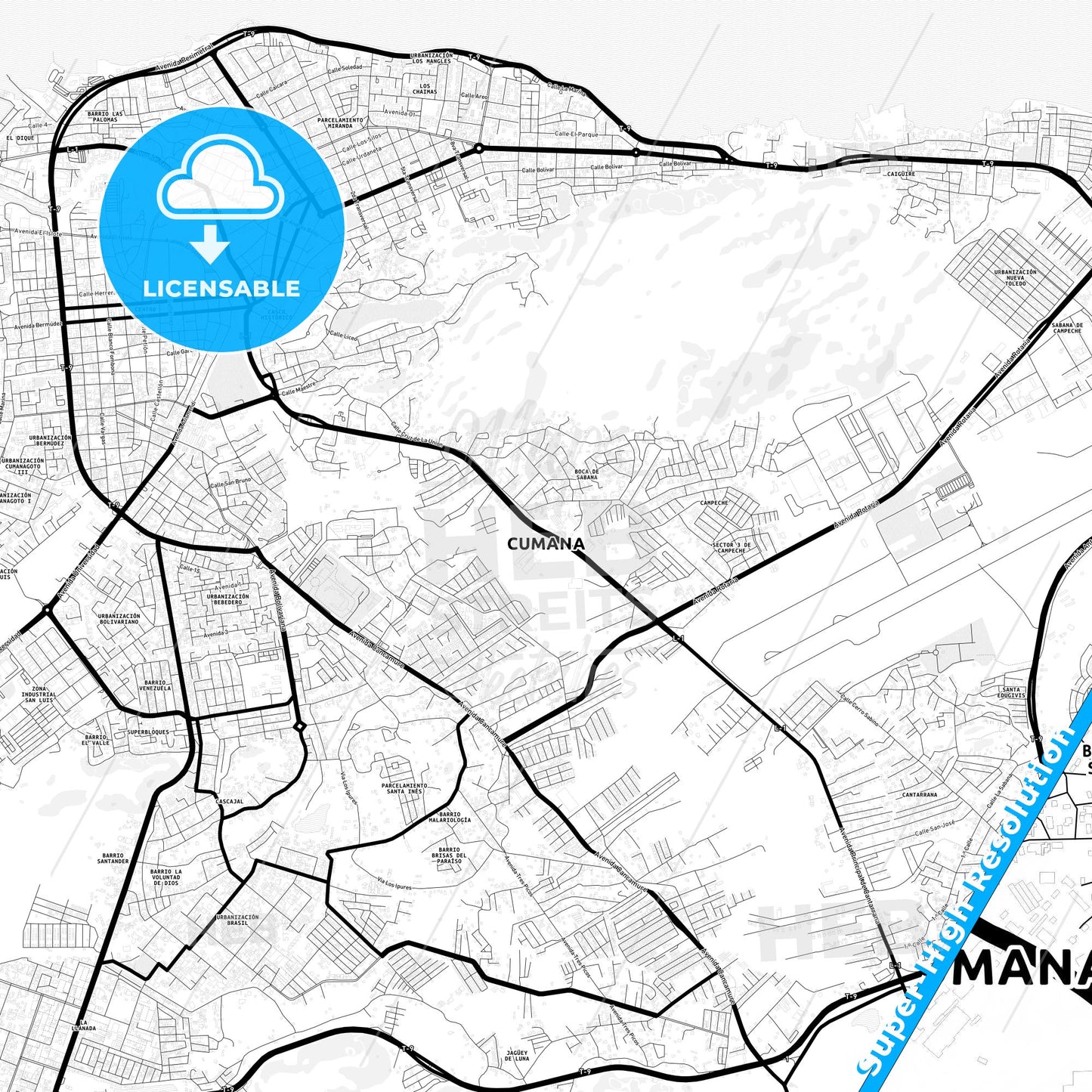 Cumana, Venezuela Light Map with Street Names, City Names, and Districts