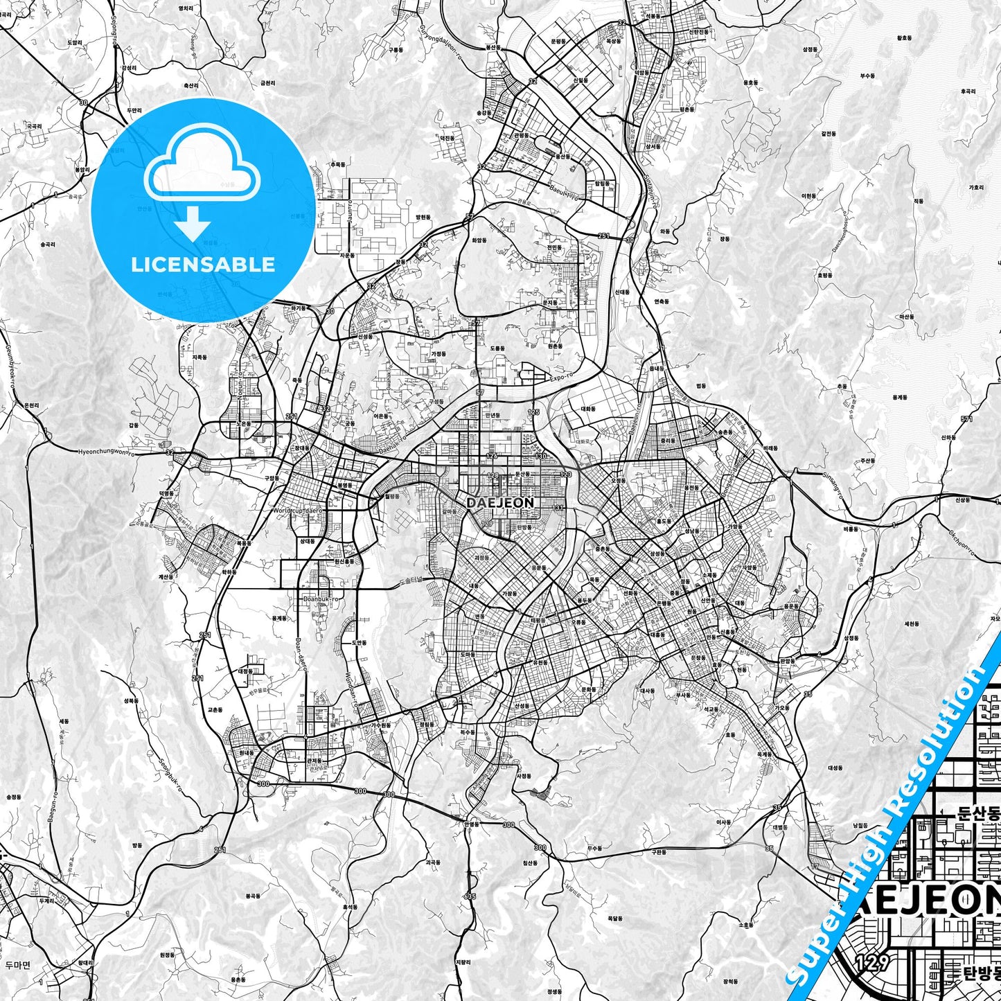 Daejeon, South Korea light map with streetnames, citynames and districts