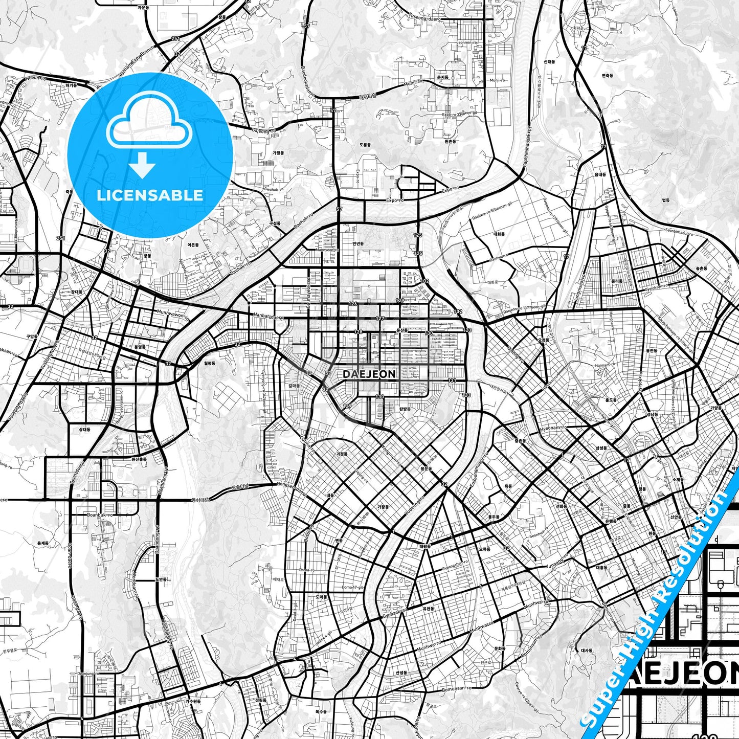 Daejeon, South Korea Light Map with Street Names, City Names, and Districts