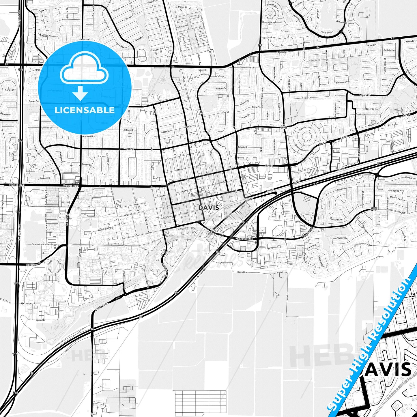Davis, California Light Map with Street Names, City Names, and Districts