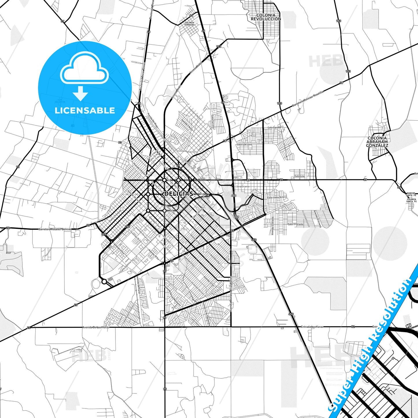 Delicias, Mexico Light Map with Street Names, City Names, and Districts