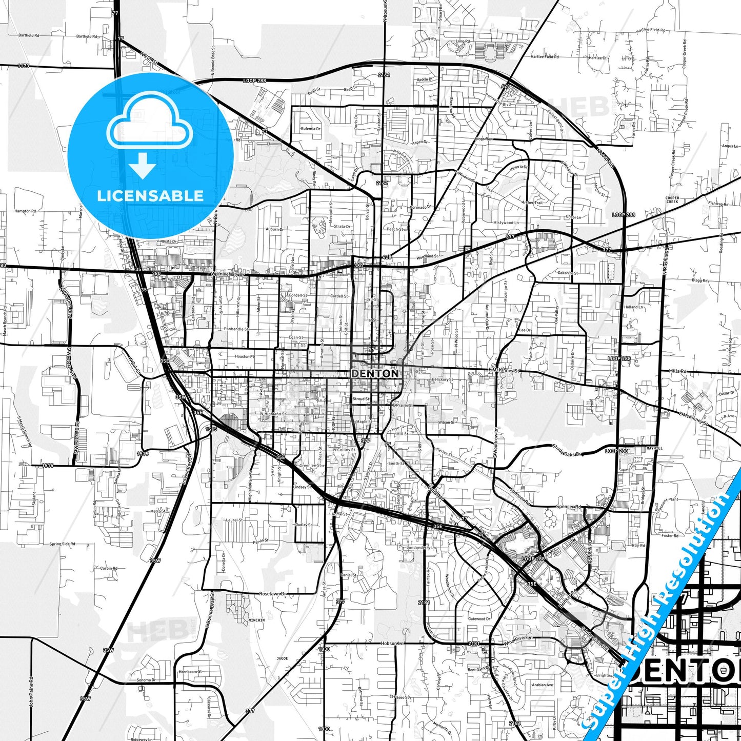 Denton, Texas Light Map with Street Names, City Names, and Districts
