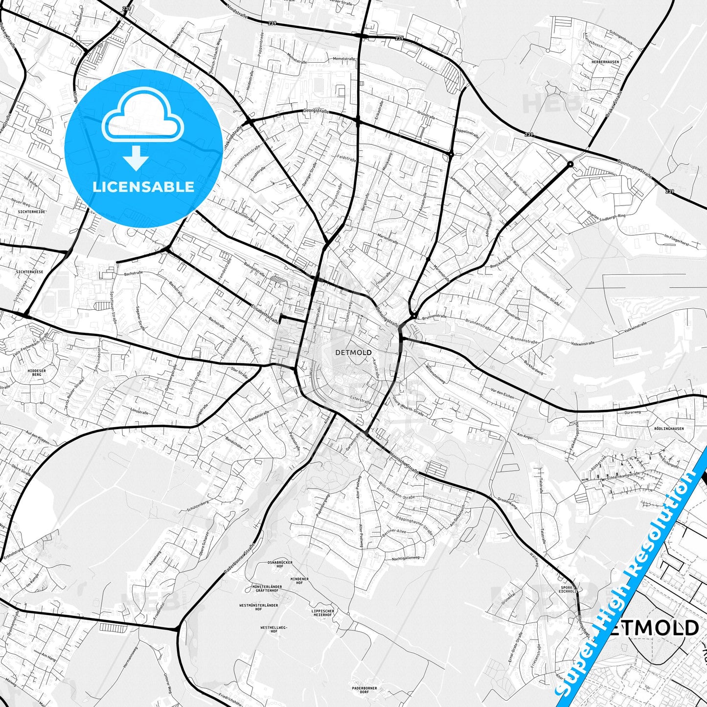 Detmold, Germany Light Map with Street Names, City Names, and Districts