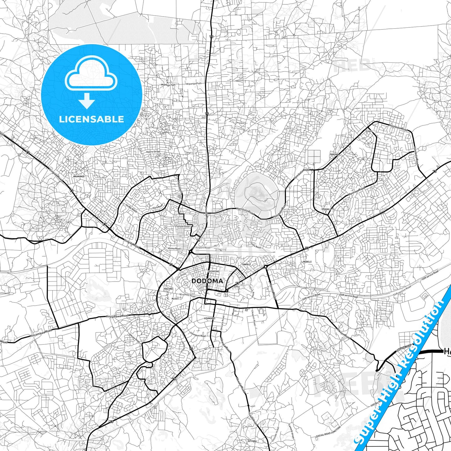 Dodoma, Tanzania Light Map with Street Names, City Names, and Districts