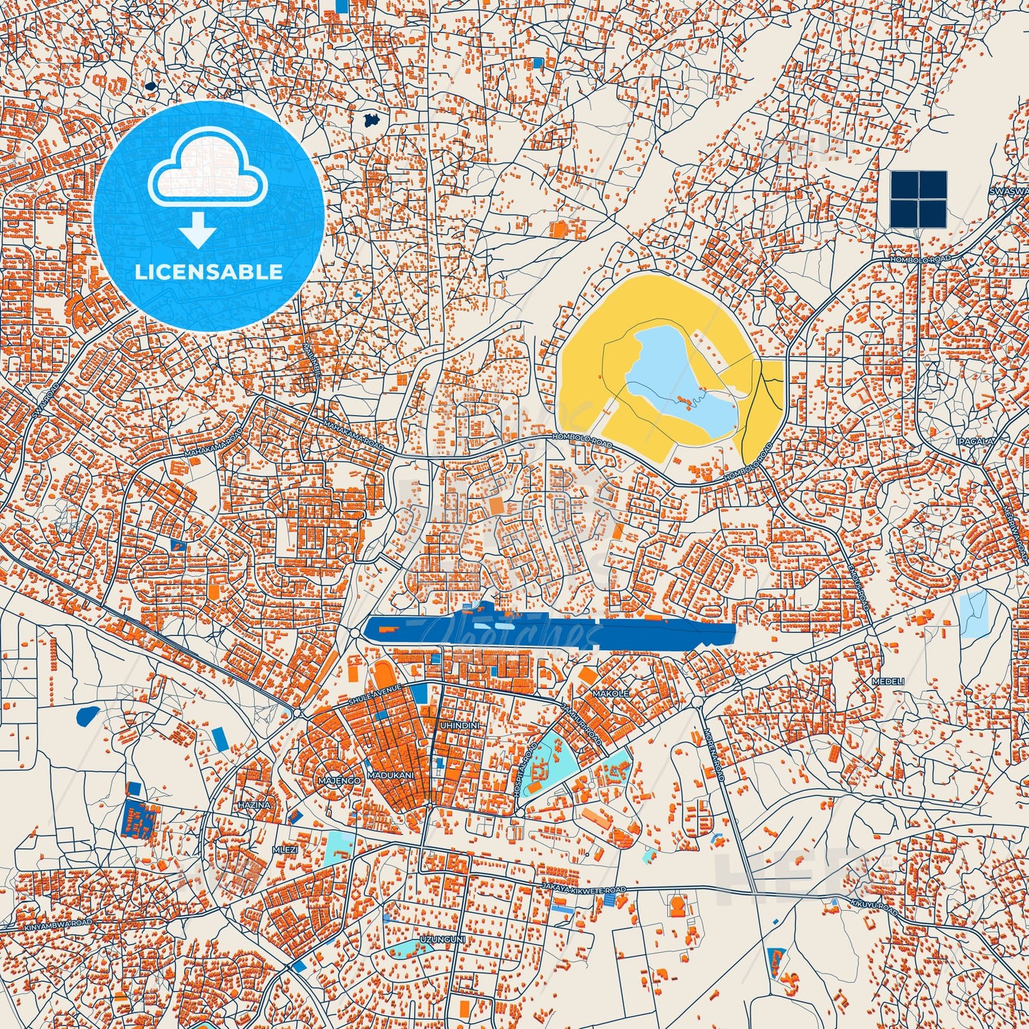 Colorful Dodoma Street Map with Labels and Buildings