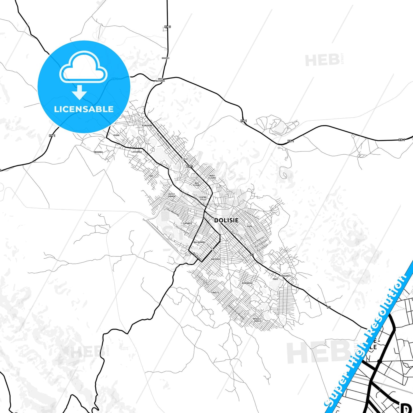 Dolisie, Republic Of The Congo Light Map with Street Names, City Names, and Districts