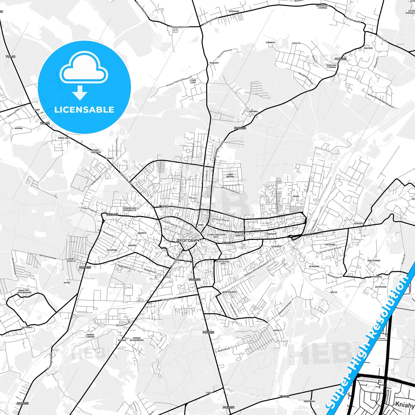 Drohobych, Ukraine Light Map with Street Names, City Names, and Districts