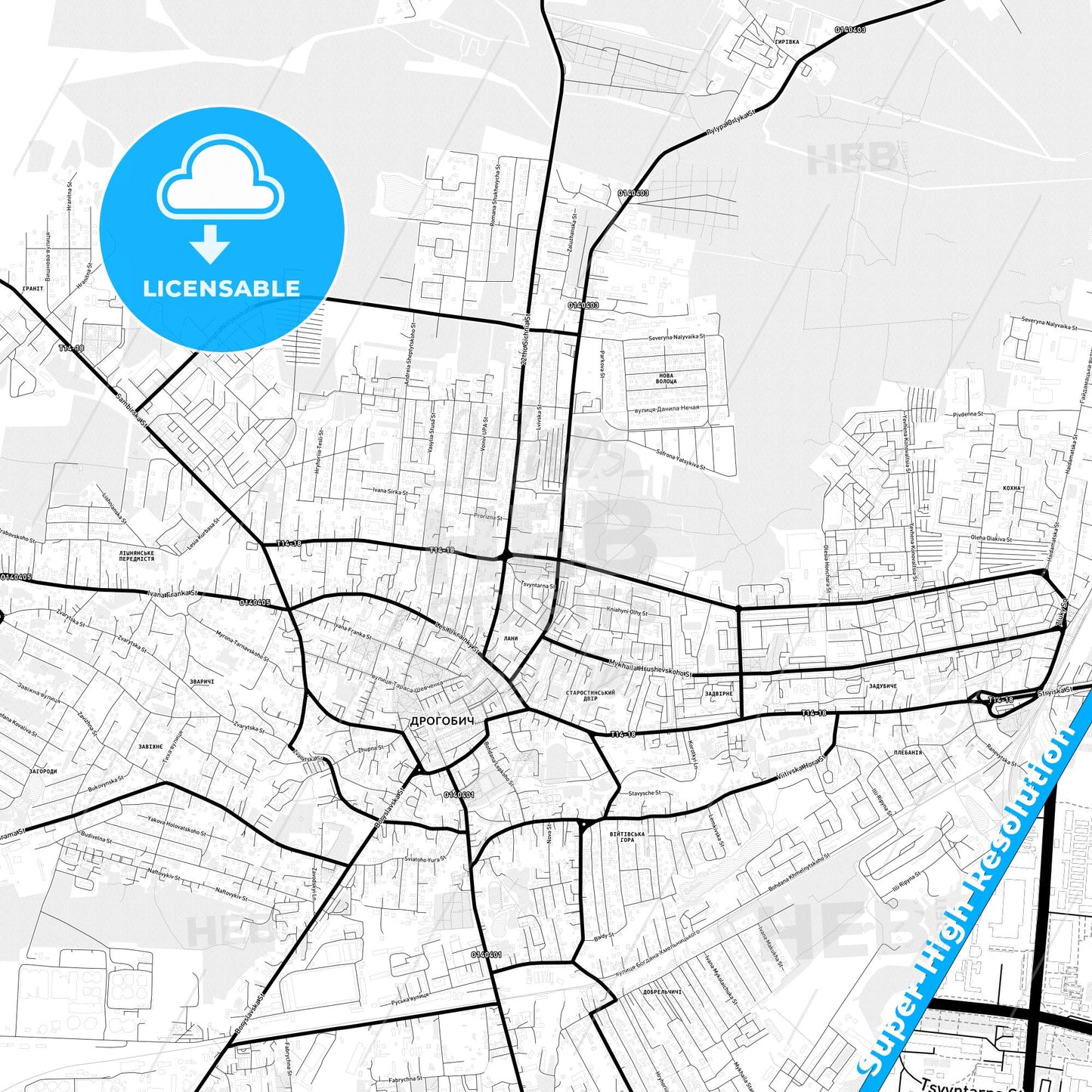 Drohobych, Ukraine Light Map with Street Names, City Names, and Districts