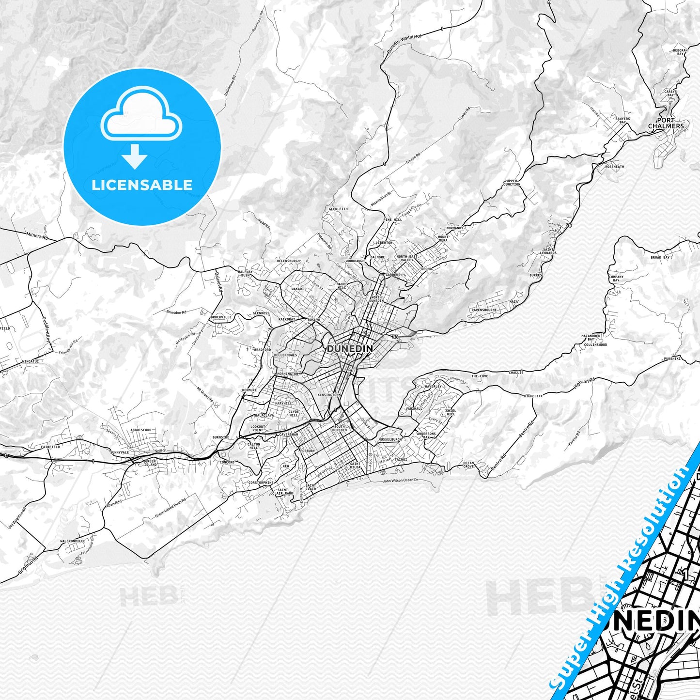Dunedin, New Zealand light map with streetnames, citynames and districts