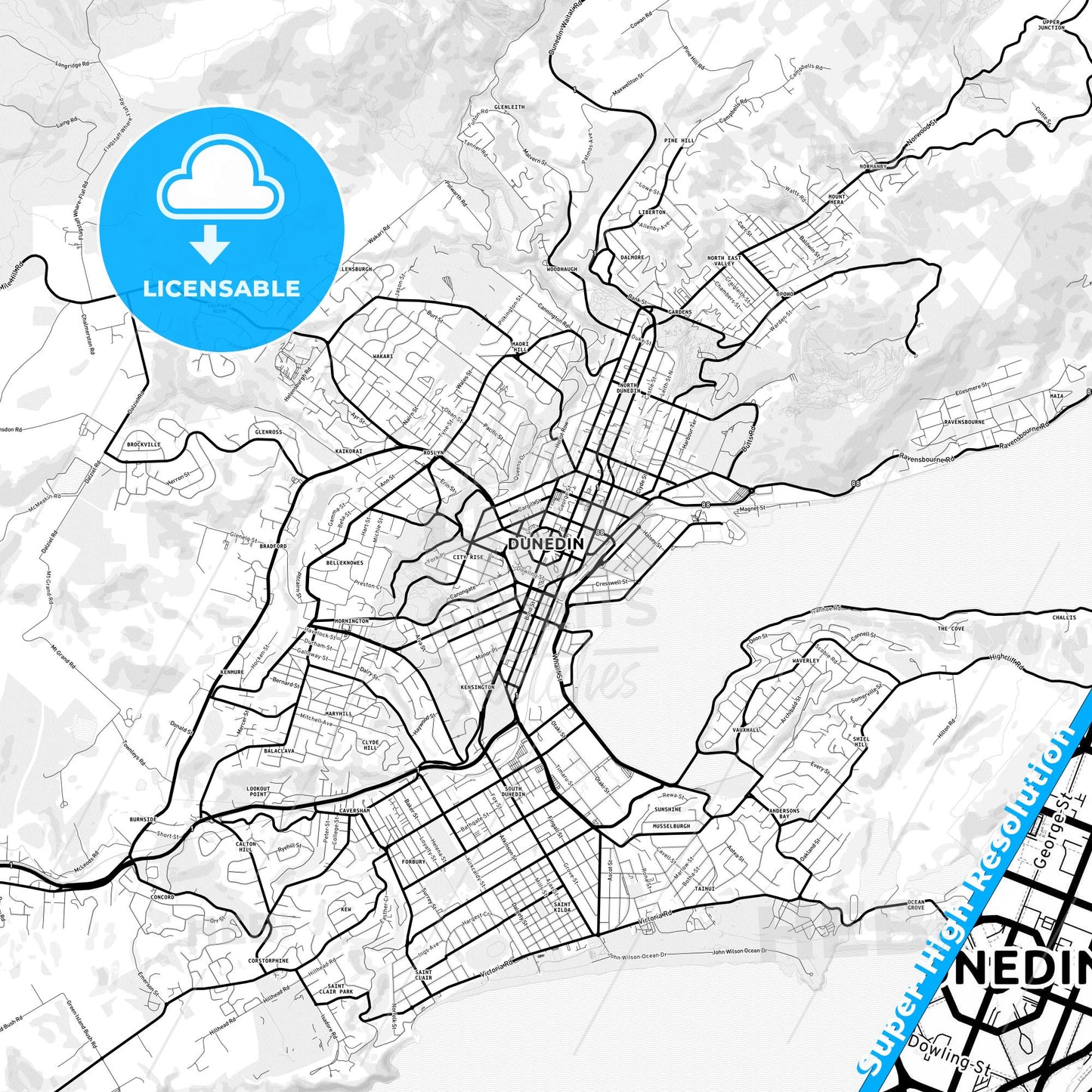 Dunedin, New Zealand Light Map with Street Names, City Names, and Districts