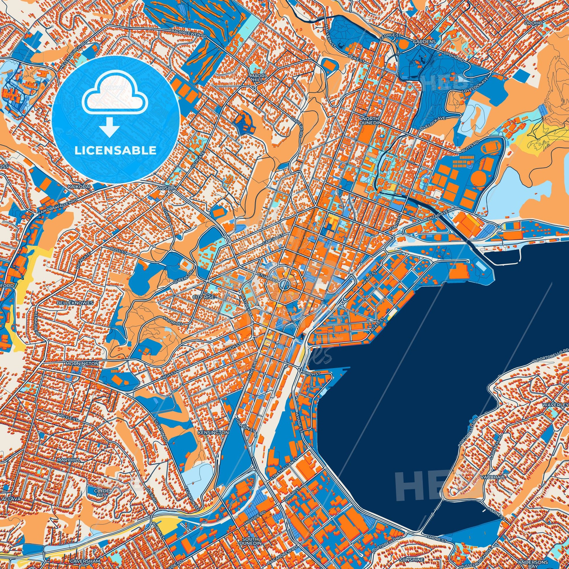 Colorful Dunedin Street Map with Labels and Buildings