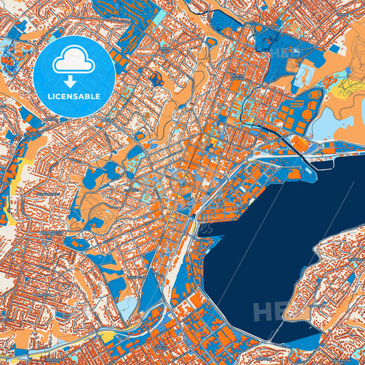 Colorful Dunedin Street Map with Labels and Buildings