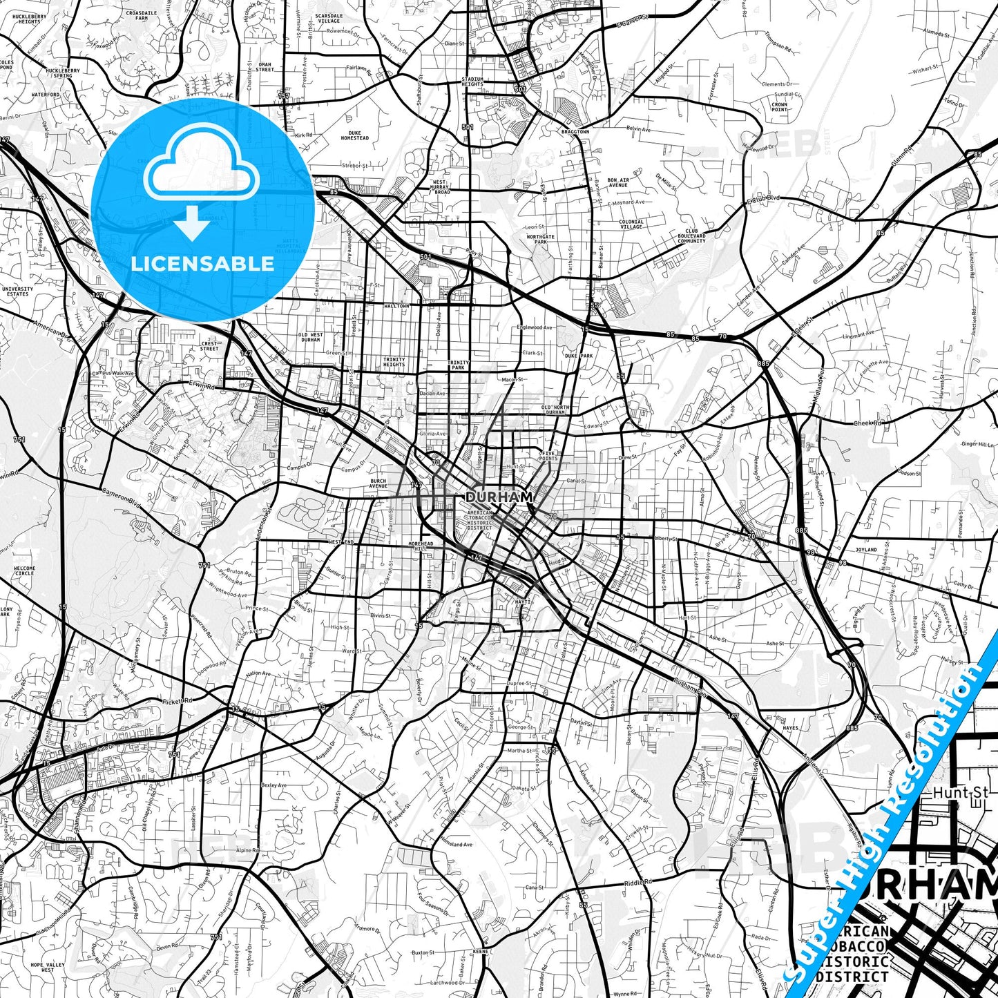 Durham, North Carolina Light Map with Street Names, City Names, and Districts