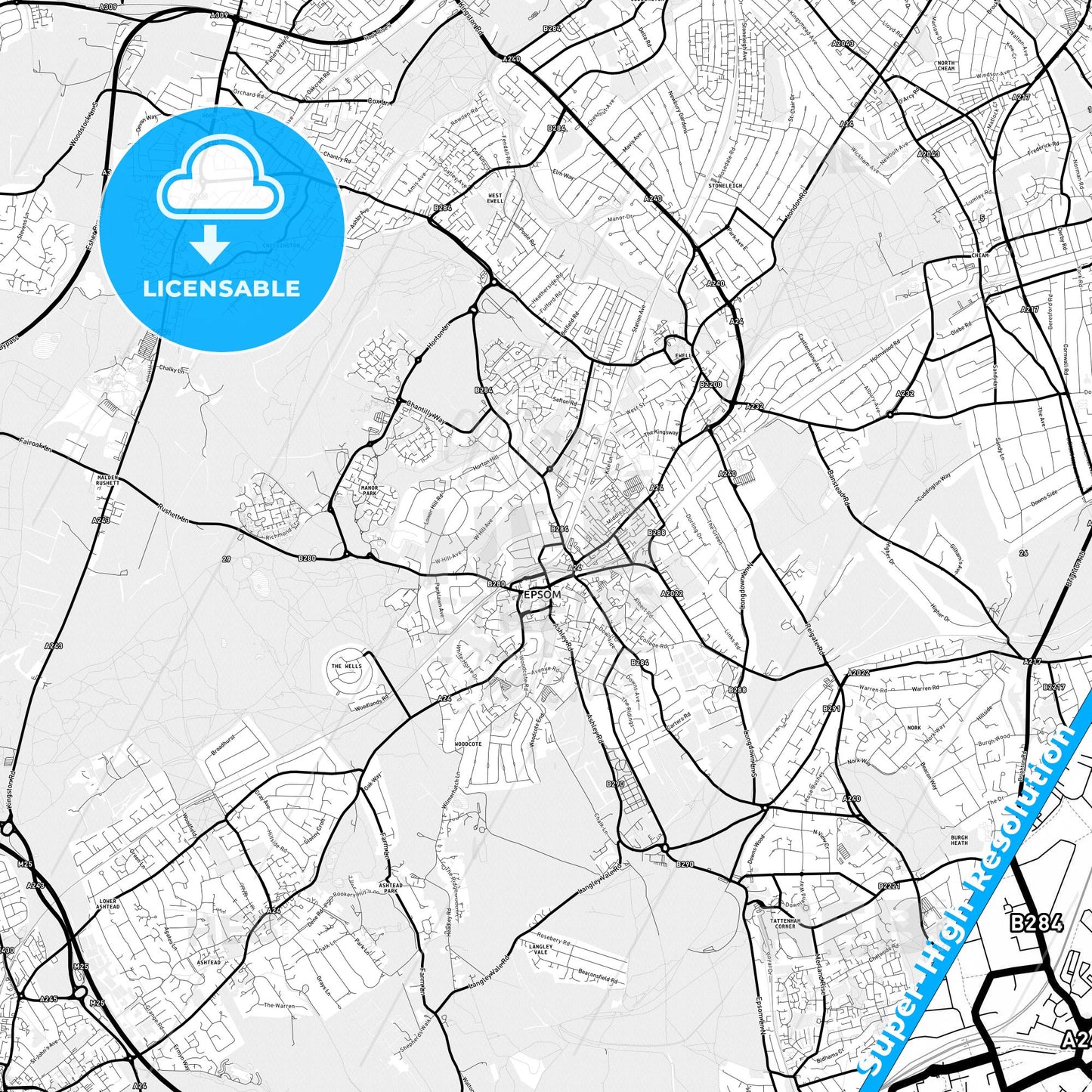 Epsom and Ewell, England Light Map with Street Names, City Names, and Districts