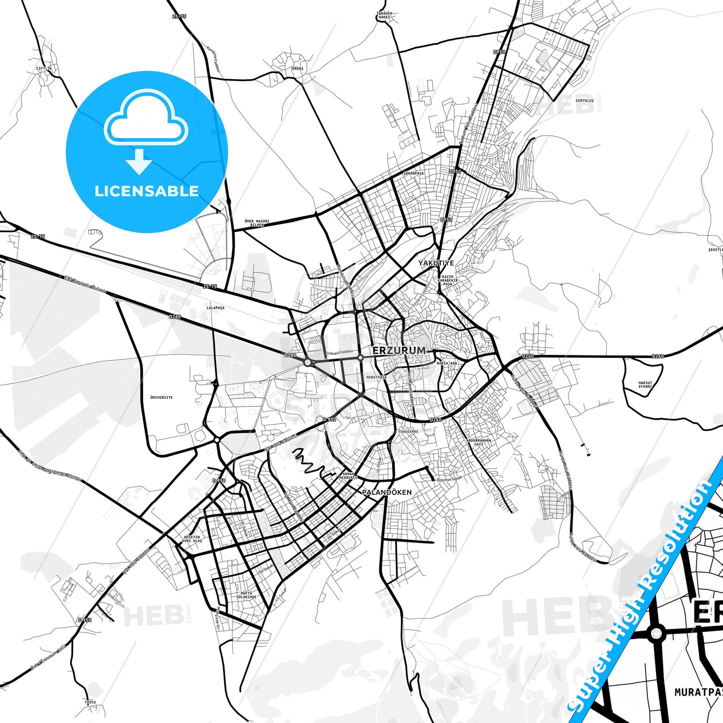 Erzurum, Turkey Light Map with Street Names, City Names, and Districts