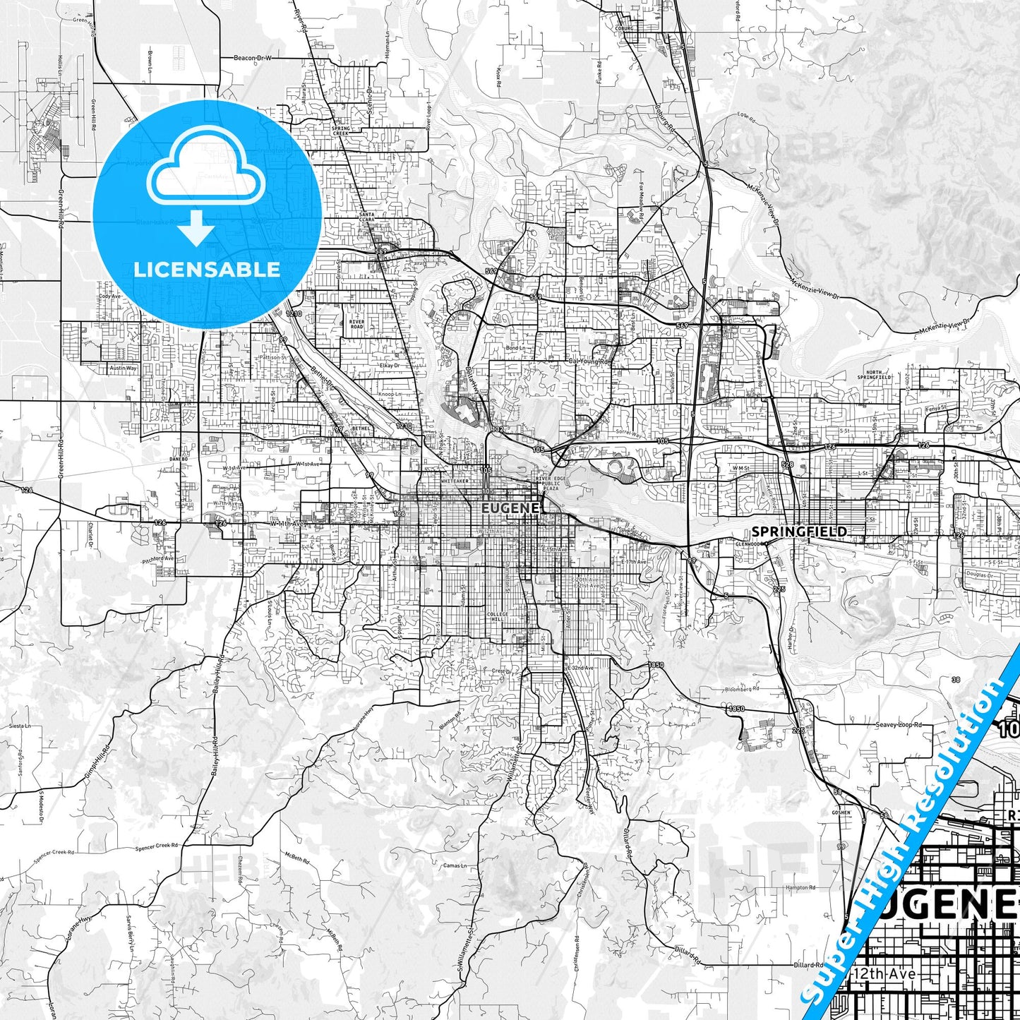 Eugene, Oregon light map with streetnames, citynames and districts