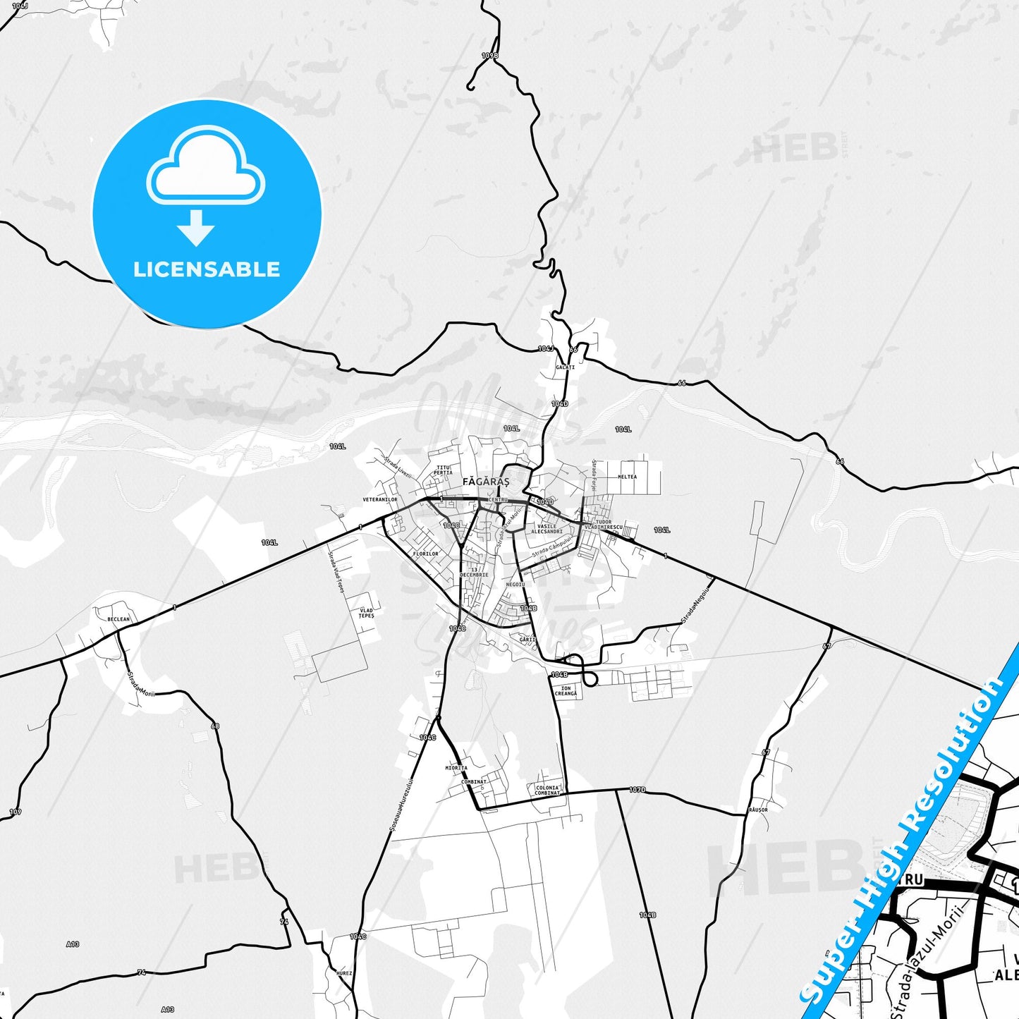 Făgăraș, Romania Light Map with Street Names, City Names, and Districts