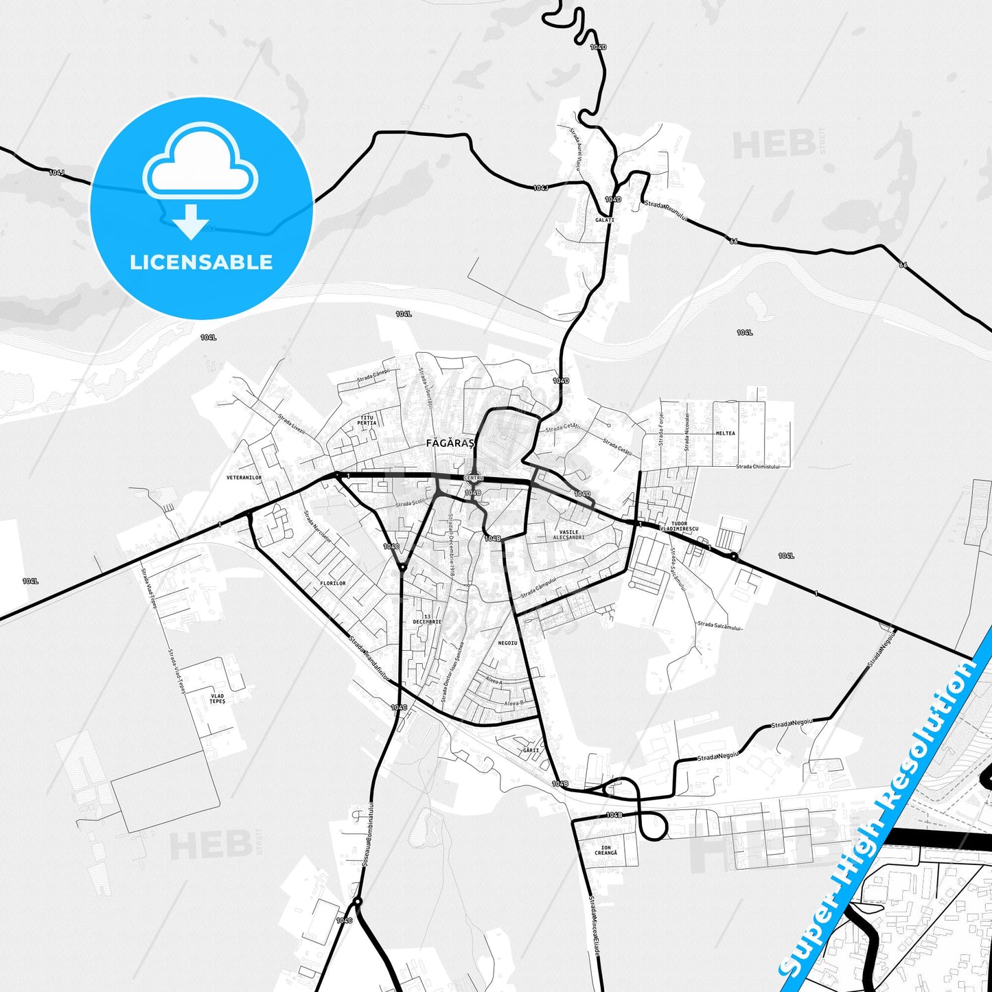 Făgăraș, Romania Light Map with Street Names, City Names, and Districts