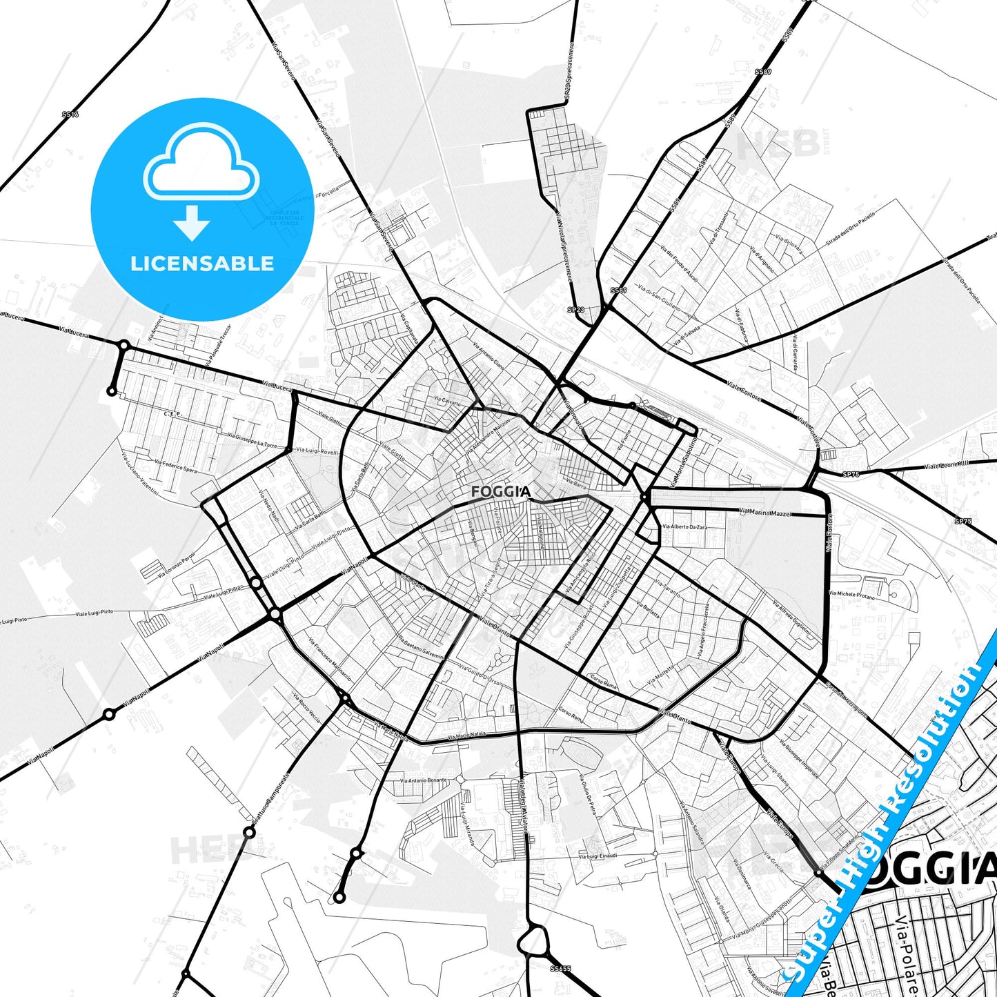 Foggia, Italy Light Map with Street Names, City Names, and Districts