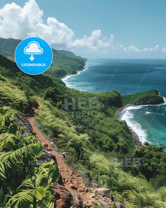 Vibrant Painting of a Cliffside Ocean Path in French Guiana, South America