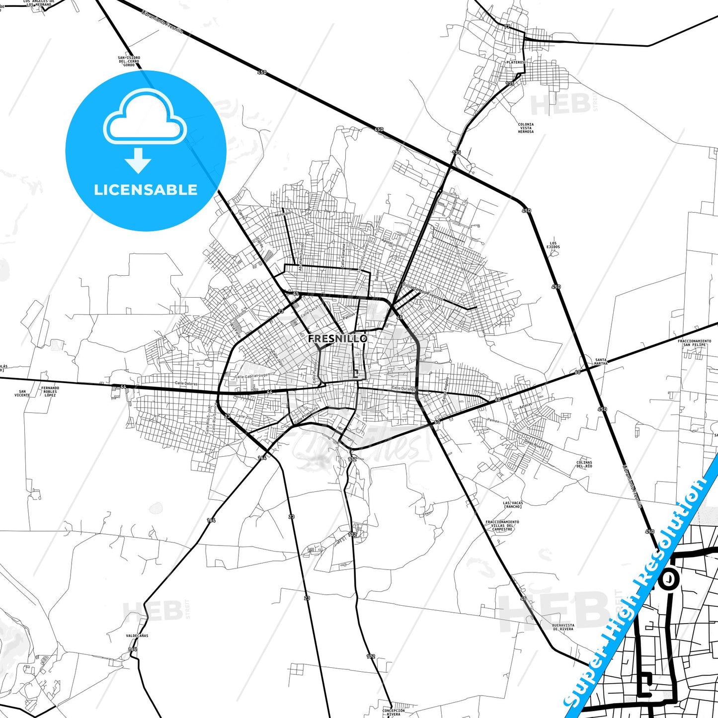 Fresnillo, Mexico Light Map with Street Names, City Names, and Districts
