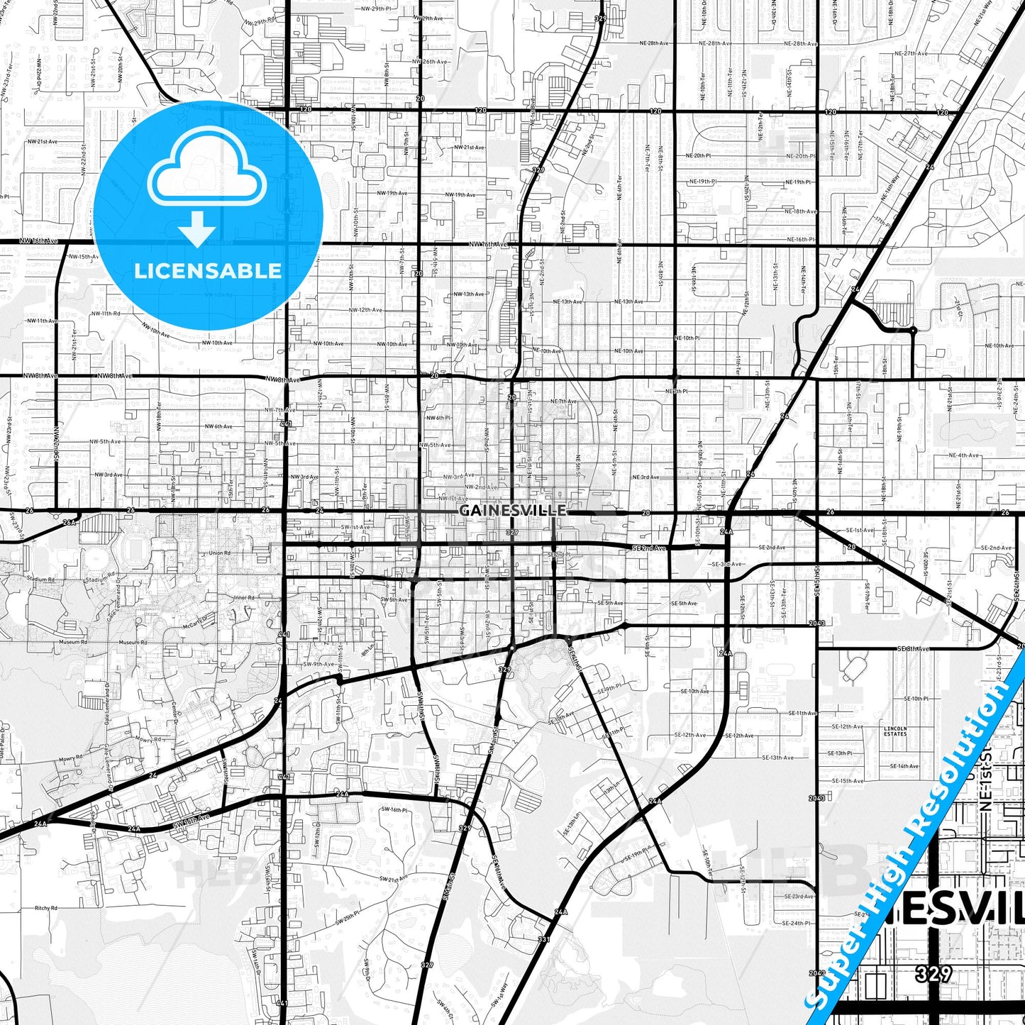 Gainesville, Florida Light Map with Street Names, City Names, and Districts