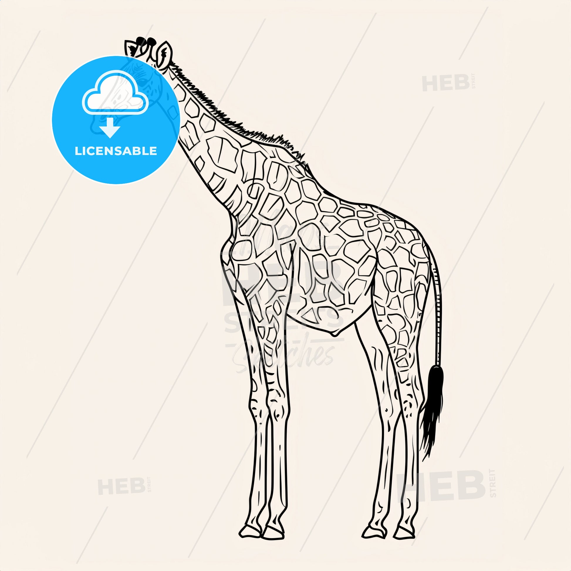 Giraffe - A Giraffe With Long Neck