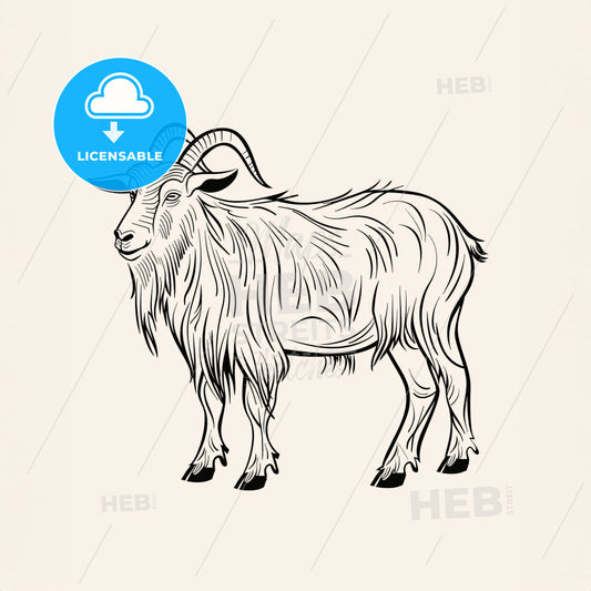 Goat - A Drawing Of A Goat