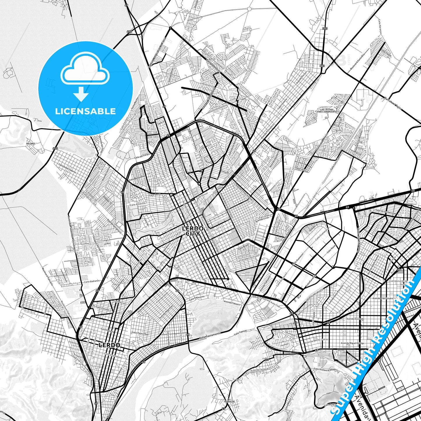 Gómez Palacio, Mexico Light Map with Street Names, City Names, and Districts
