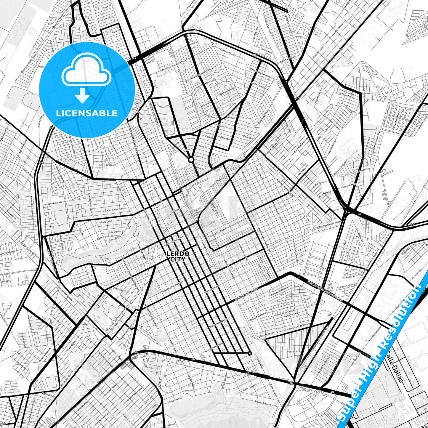 Gómez Palacio, Mexico Light Map with Street Names, City Names, and Districts