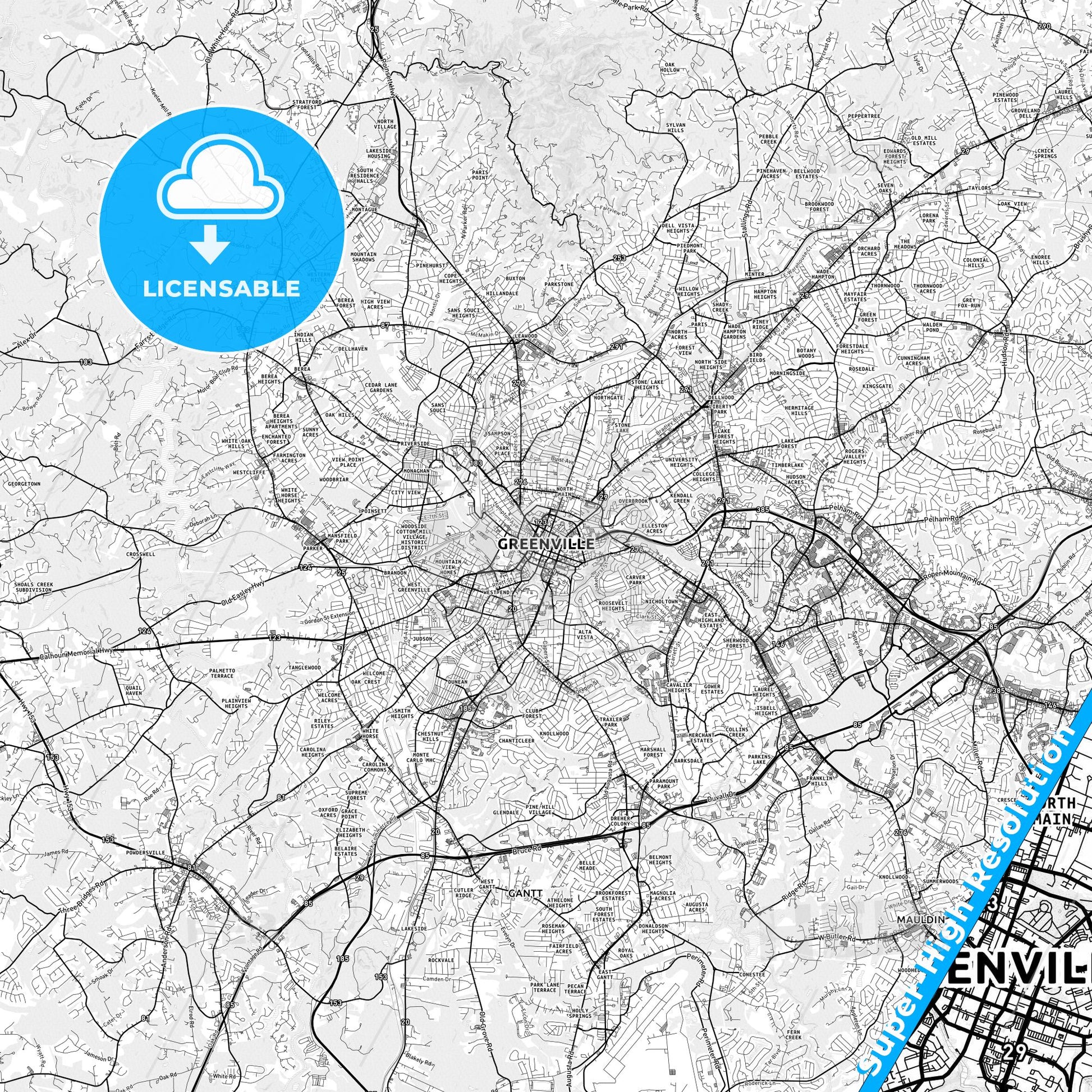 Greenville, South Carolina light map with streetnames, citynames and districts