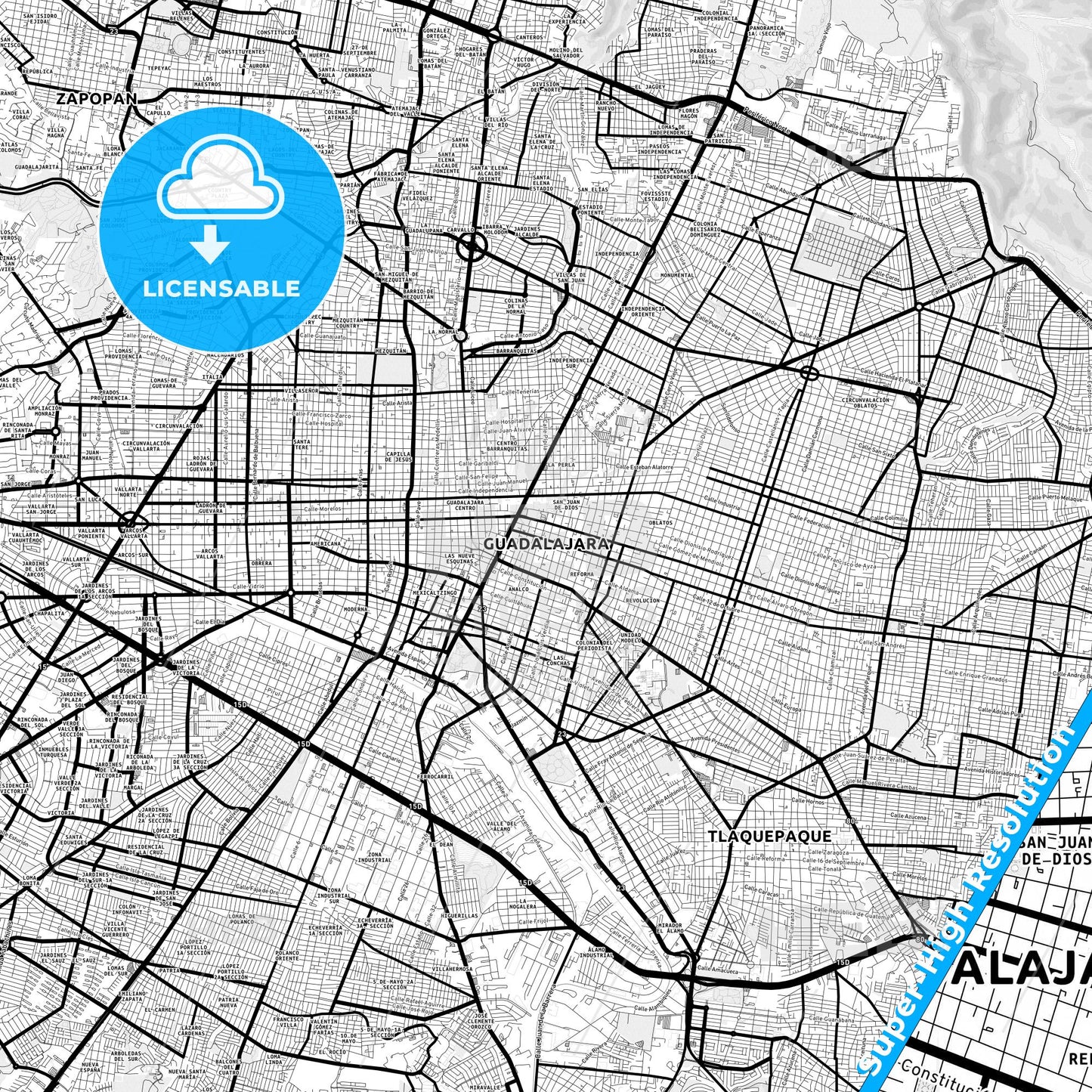 Guadalajara, Mexico Light Map with Street Names, City Names, and Districts