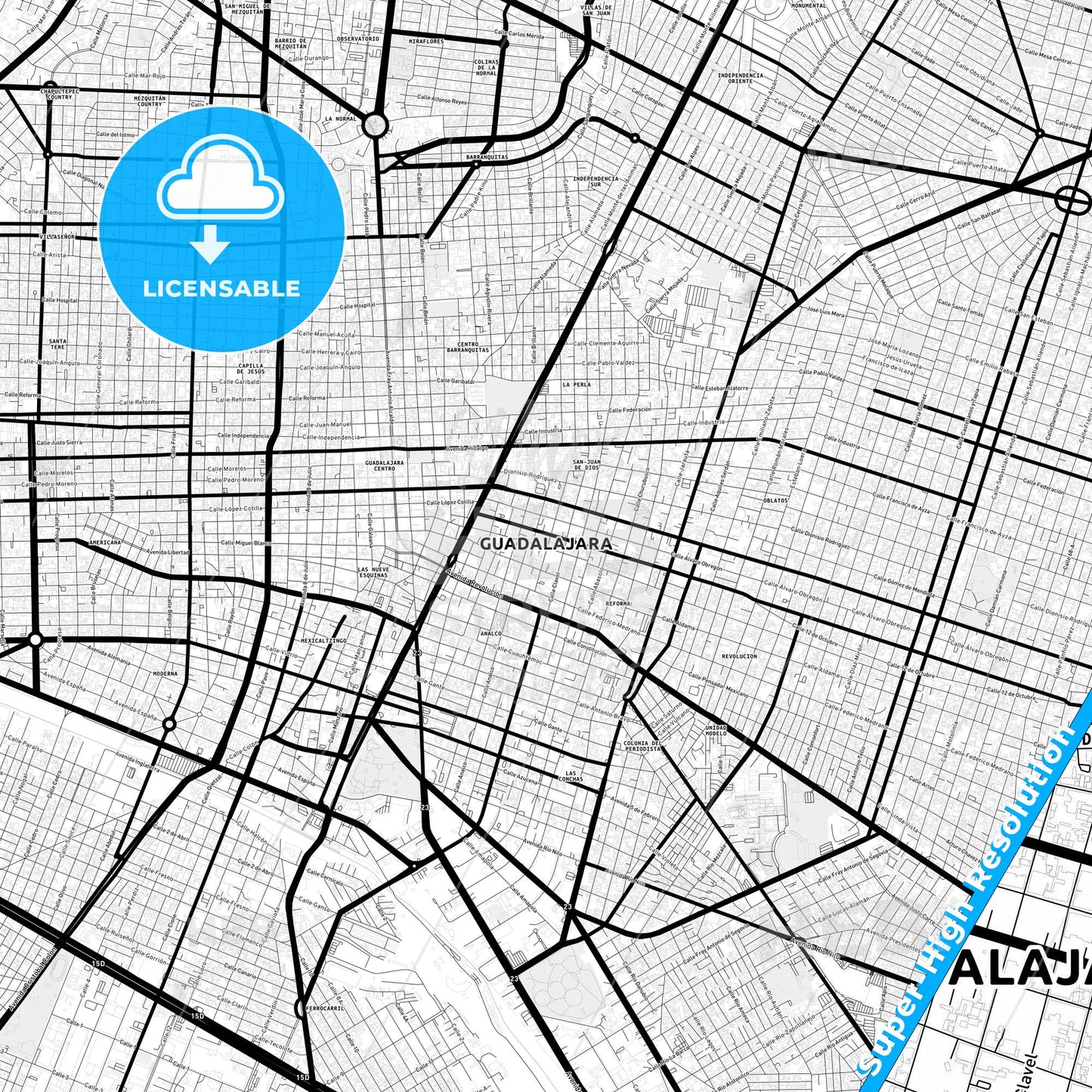 Guadalajara, Mexico Light Map with Street Names, City Names, and Districts