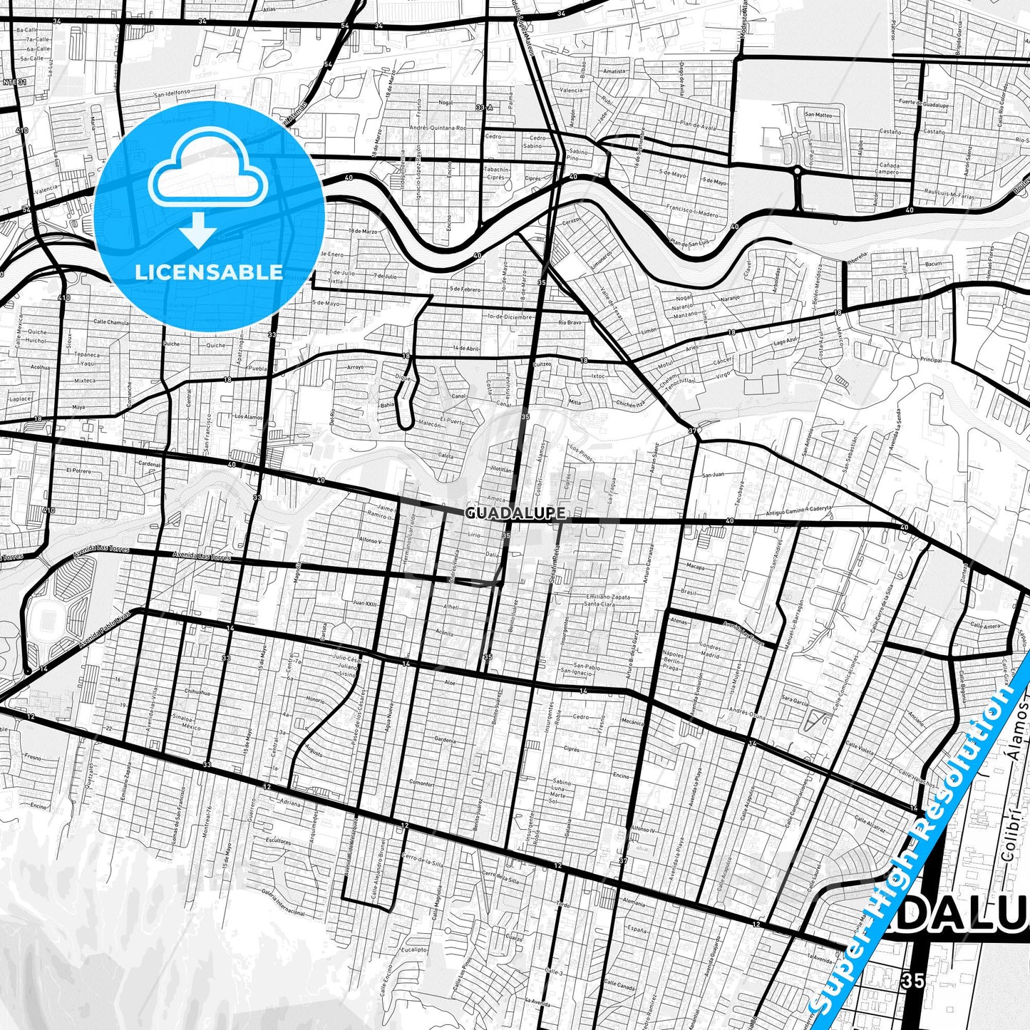 Guadalupe, Mexico Light Map with Street Names, City Names, and Districts