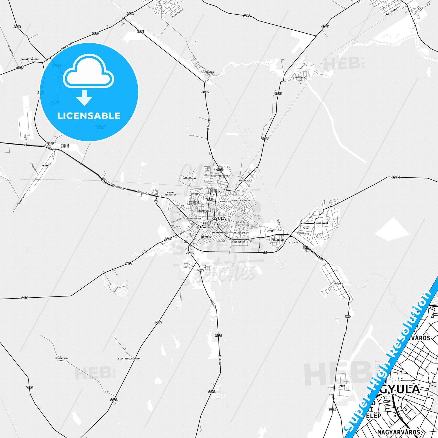 Gyula, Hungary light map with streetnames, citynames and districts