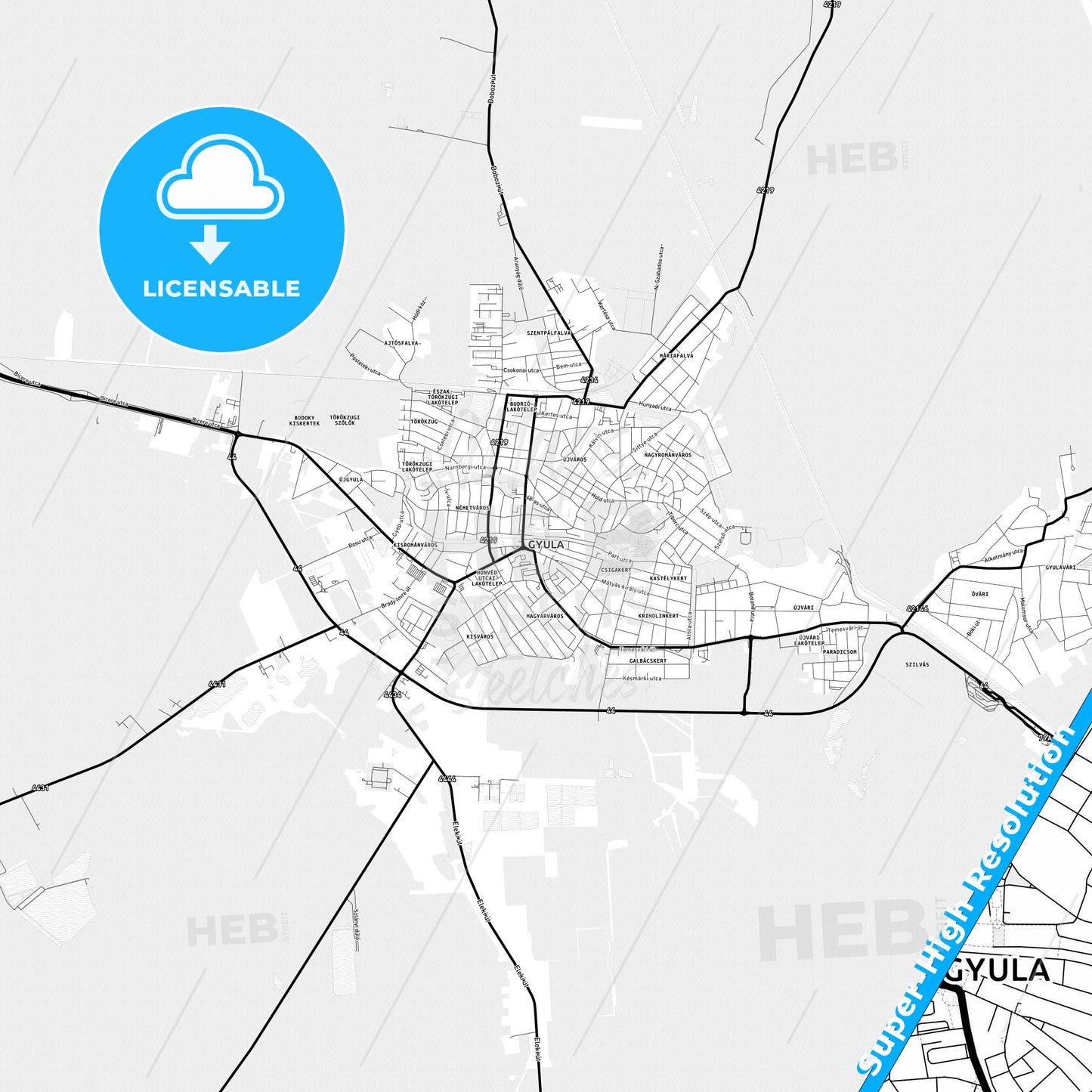 Gyula, Hungary Light Map with Street Names, City Names, and Districts