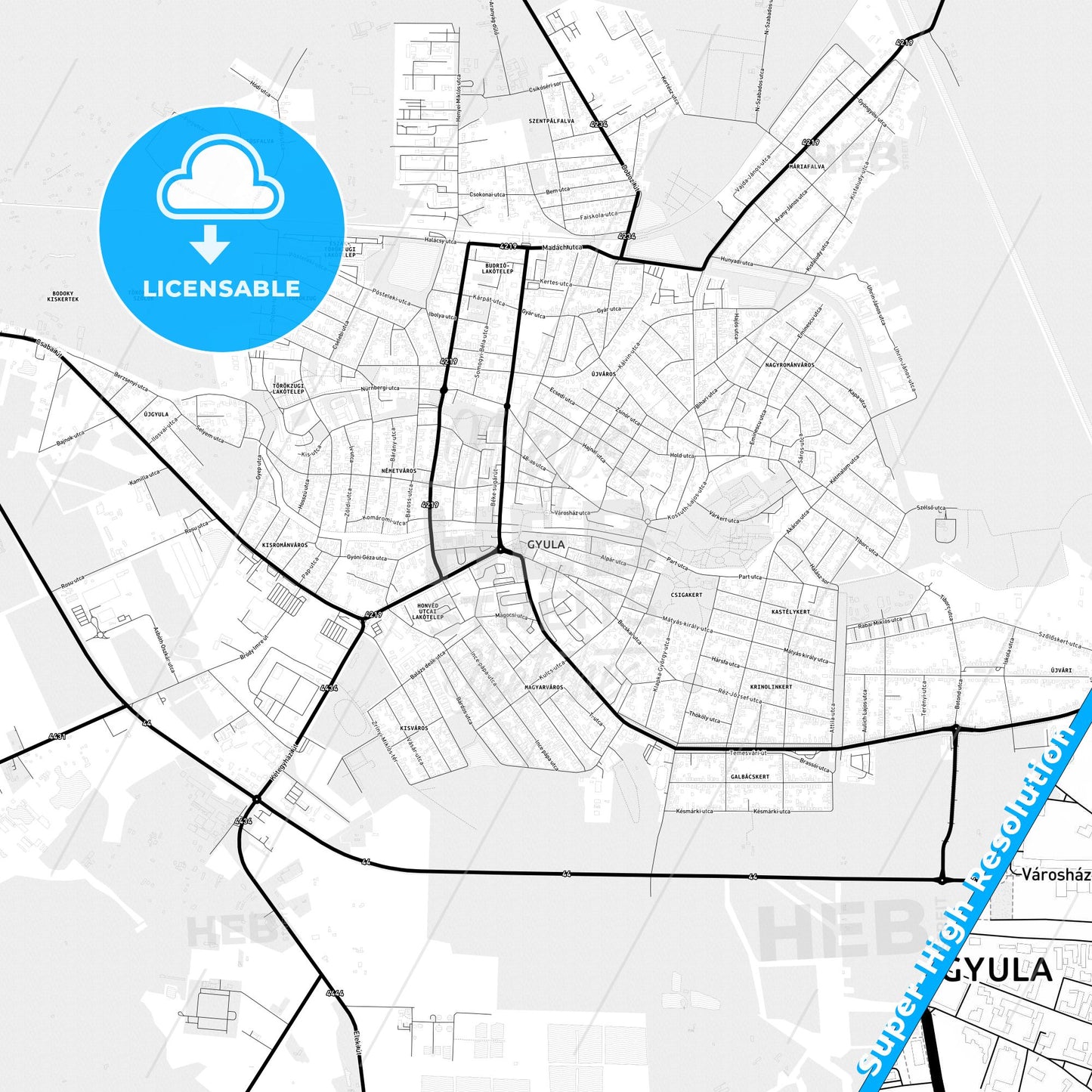 Gyula, Hungary Light Map with Street Names, City Names, and Districts